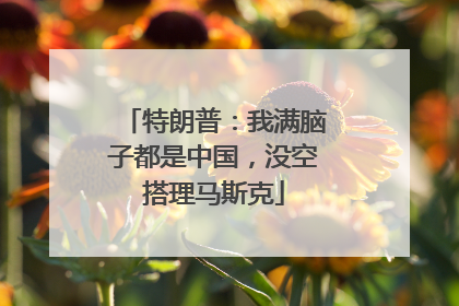 特朗普：我满脑子都是中国，没空搭理马斯克