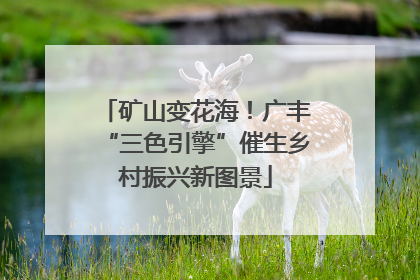 矿山变花海！广丰“三色引擎”催生乡村振兴新图景