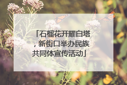 石榴花开耀白塔，新街口举办民族共同体宣传活动