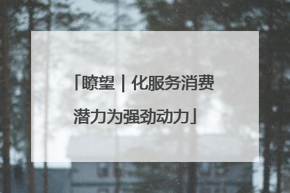 瞭望｜化服务消费潜力为强劲动力