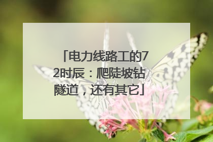电力线路工的72时辰：爬陡坡钻隧道，还有其它