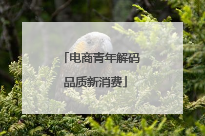 电商青年解码品质新消费