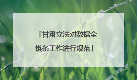 甘肃立法对数据全链条工作进行规范