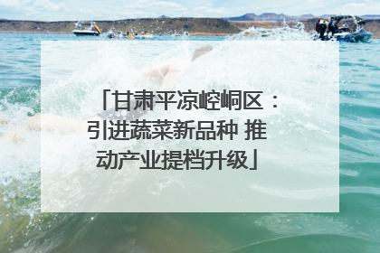 甘肃平凉崆峒区：引进蔬菜新品种 推动产业提档升级