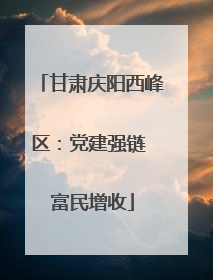 甘肃庆阳西峰区：党建强链 富民增收