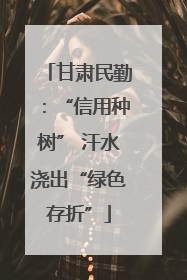 甘肃民勤：“信用种树” 汗水浇出“绿色存折”