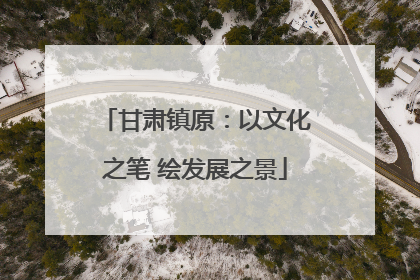 甘肃镇原：以文化之笔 绘发展之景