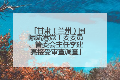 甘肃（兰州）国际陆港党工委委员、管委会主任李建亮接受审查调查