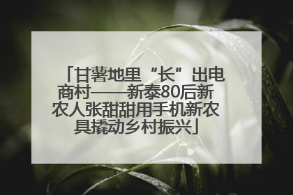 甘薯地里“长”出电商村——新泰80后新农人张甜甜用手机新农具撬动乡村振兴