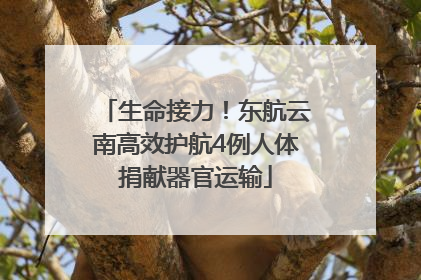 生命接力！东航云南高效护航4例人体捐献器官运输