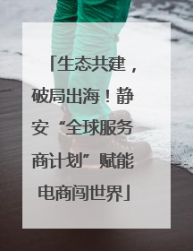 生态共建，破局出海！静安“全球服务商计划”赋能电商闯世界