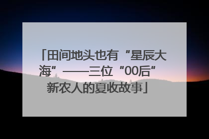 田间地头也有“星辰大海”——三位“00后”新农人的夏收故事