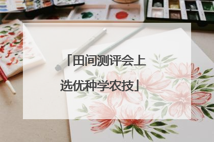 田间测评会上选优种学农技