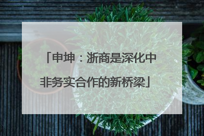 申坤：浙商是深化中非务实合作的新桥梁