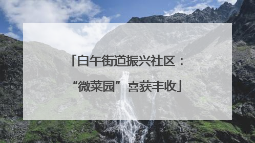 白午街道振兴社区：“微菜园”喜获丰收