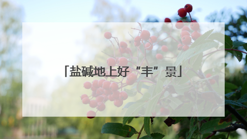 盐碱地上好“丰”景