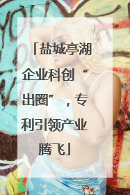 盐城亭湖企业科创“出圈”，专利引领产业腾飞