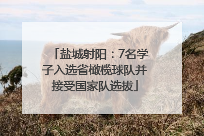 盐城射阳：7名学子入选省橄榄球队并接受国家队选拔