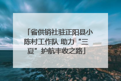 省供销社驻正阳县小陈村工作队 助力“三夏”护航丰收之路