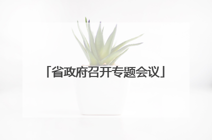 省政府召开专题会议