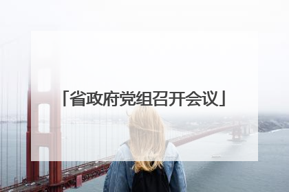 省政府党组召开会议