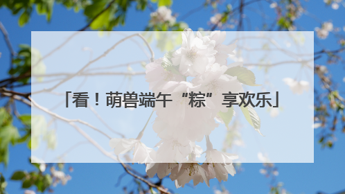 看！萌兽端午“粽”享欢乐