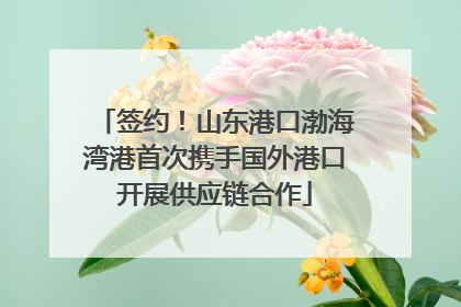 签约！山东港口渤海湾港首次携手国外港口开展供应链合作