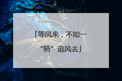 等风来，不如一“骑”追风去