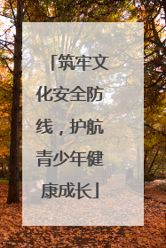 筑牢文化安全防线，护航青少年健康成长