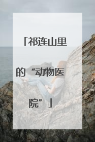 祁连山里的“动物医院”