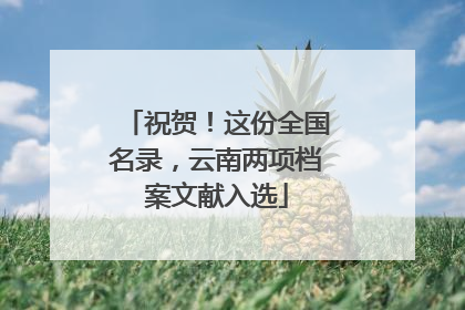 祝贺！这份全国名录，云南两项档案文献入选
