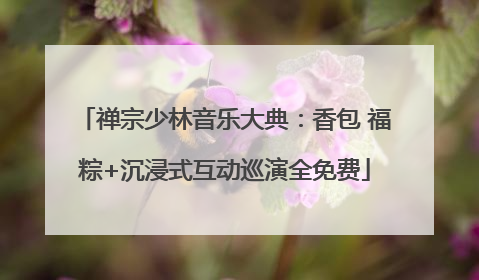 禅宗少林音乐大典：香包 福粽+沉浸式互动巡演全免费