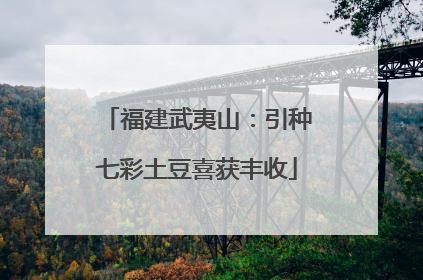 福建武夷山：引种七彩土豆喜获丰收