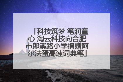 科技筑梦 笔润童心 淘云科技向合肥市郎溪路小学捐赠阿尔法蛋高速词典笔