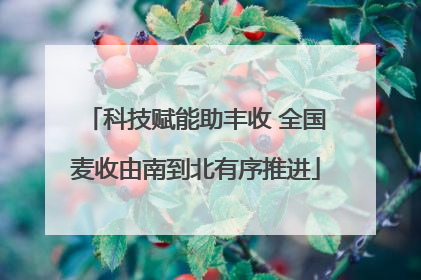 科技赋能助丰收 全国麦收由南到北有序推进