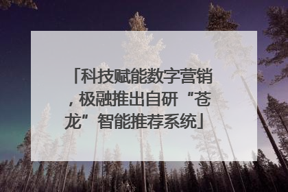 科技赋能数字营销，极融推出自研“苍龙”智能推荐系统