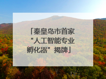 秦皇岛市首家“人工智能专业孵化器”揭牌
