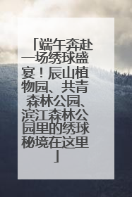 端午奔赴一场绣球盛宴！辰山植物园、共青森林公园、滨江森林公园里的绣球秘境在这里