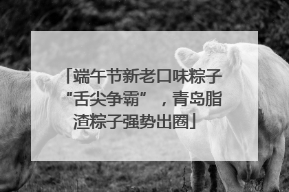 端午节新老口味粽子“舌尖争霸”，青岛脂渣粽子强势出圈