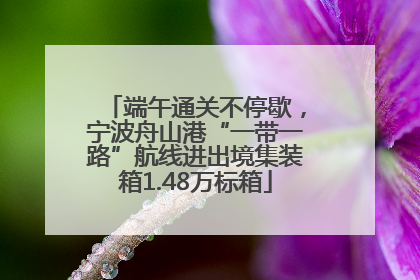 端午通关不停歇，宁波舟山港“一带一路”航线进出境集装箱1.48万标箱