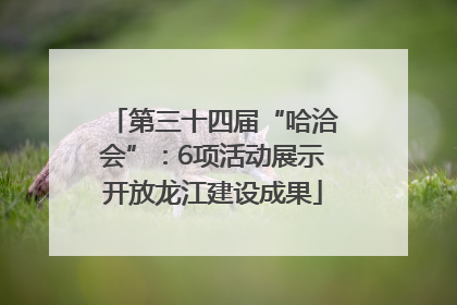 第三十四届“哈洽会”：6项活动展示开放龙江建设成果