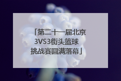 第二十一届北京3VS3街头篮球挑战赛圆满落幕