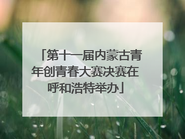 第十一届内蒙古青年创青春大赛决赛在呼和浩特举办