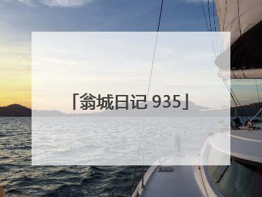 翁城日记 935