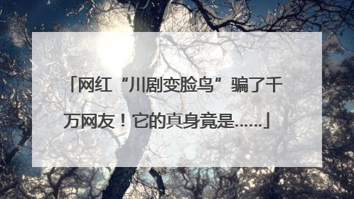 网红“川剧变脸鸟”骗了千万网友！它的真身竟是……