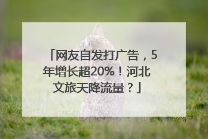 网友自发打广告，5年增长超20%！河北文旅天降流量？
