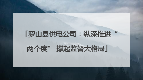 罗山县供电公司：纵深推进“两个度” 撑起监督大格局