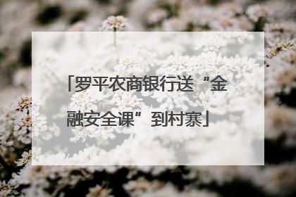 罗平农商银行送“金融安全课”到村寨