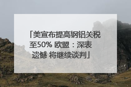 美宣布提高钢铝关税至50% 欧盟：深表遗憾 将继续谈判