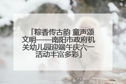 粽香传古韵 童声颂文明——南阳市政府机关幼儿园迎端午庆六一活动丰富多彩